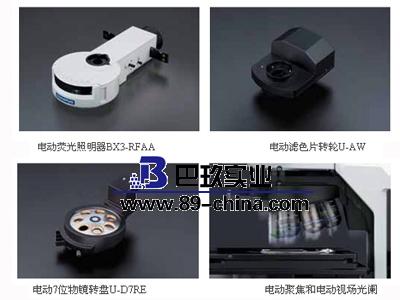 BX63顯微鏡 BX63顯微鏡