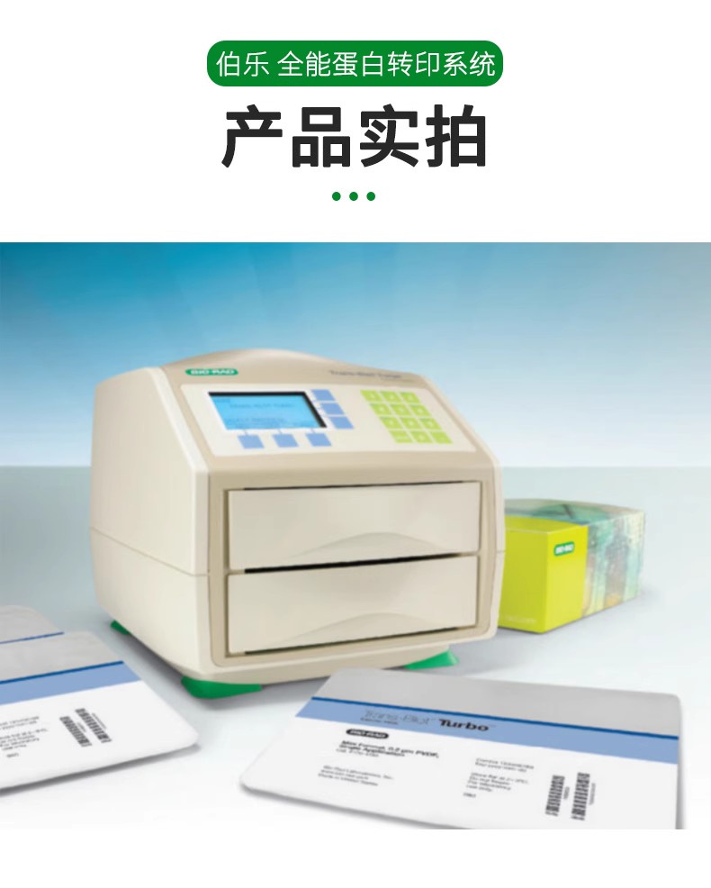 1704150蛋白轉印系統5 1704150蛋白轉印系統5